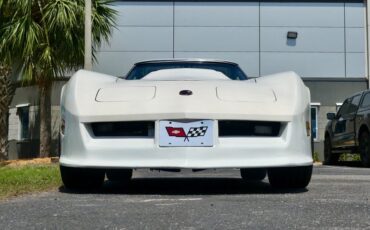 Chevrolet-Corvette-1976-Classic-White-Saddle-Brown-37