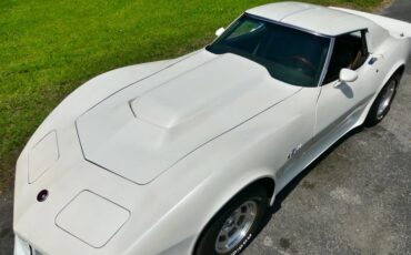 Chevrolet-Corvette-1976-Classic-White-Saddle-Brown-38