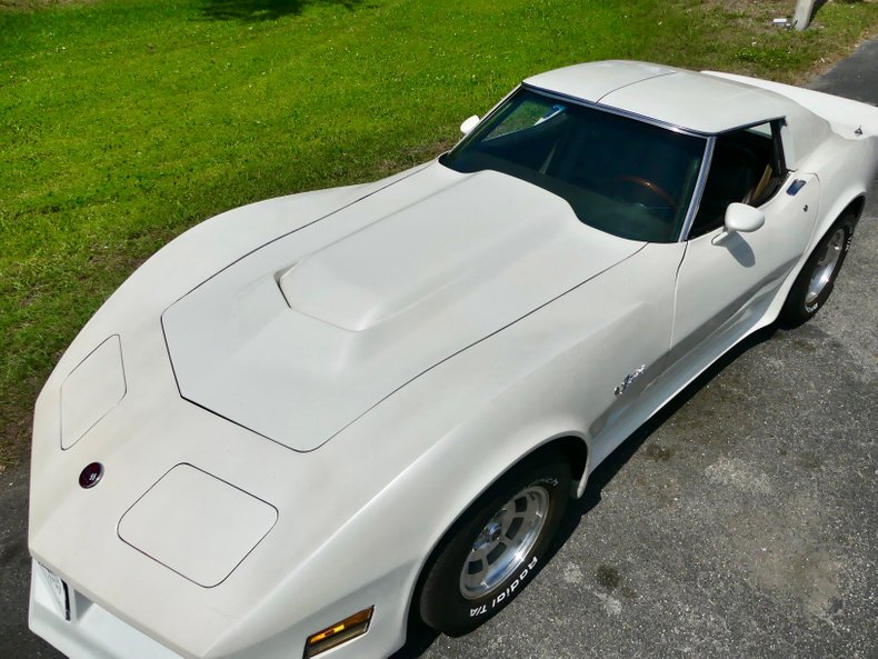 Chevrolet-Corvette-1976-Classic-White-Saddle-Brown-38