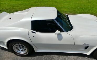 Chevrolet-Corvette-1976-Classic-White-Saddle-Brown-4