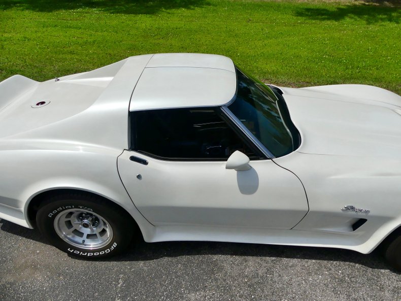 Chevrolet-Corvette-1976-Classic-White-Saddle-Brown-4