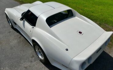 Chevrolet-Corvette-1976-Classic-White-Saddle-Brown-40