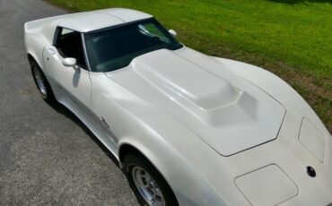 Chevrolet-Corvette-1976-Classic-White-Saddle-Brown-41