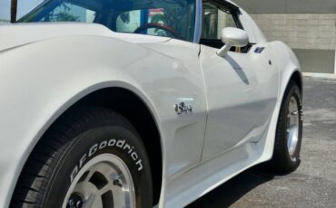 Chevrolet-Corvette-1976-Classic-White-Saddle-Brown-42