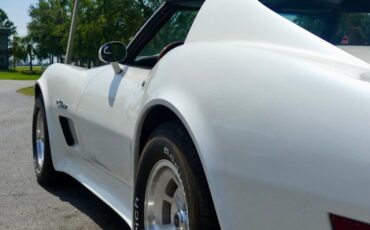 Chevrolet-Corvette-1976-Classic-White-Saddle-Brown-46