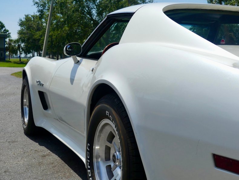 Chevrolet-Corvette-1976-Classic-White-Saddle-Brown-46