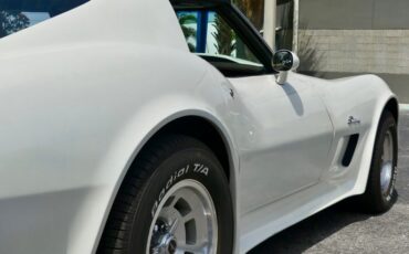 Chevrolet-Corvette-1976-Classic-White-Saddle-Brown-47