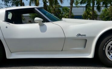 Chevrolet-Corvette-1976-Classic-White-Saddle-Brown-48