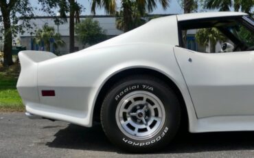 Chevrolet-Corvette-1976-Classic-White-Saddle-Brown-49