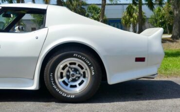 Chevrolet-Corvette-1976-Classic-White-Saddle-Brown-5