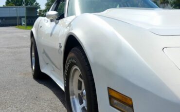 Chevrolet-Corvette-1976-Classic-White-Saddle-Brown-6