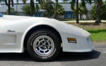 Chevrolet-Corvette-1976-Classic-White-Saddle-Brown-7