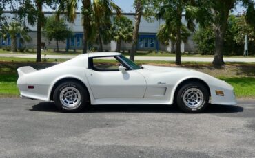 Chevrolet-Corvette-1976-Classic-White-Saddle-Brown-8