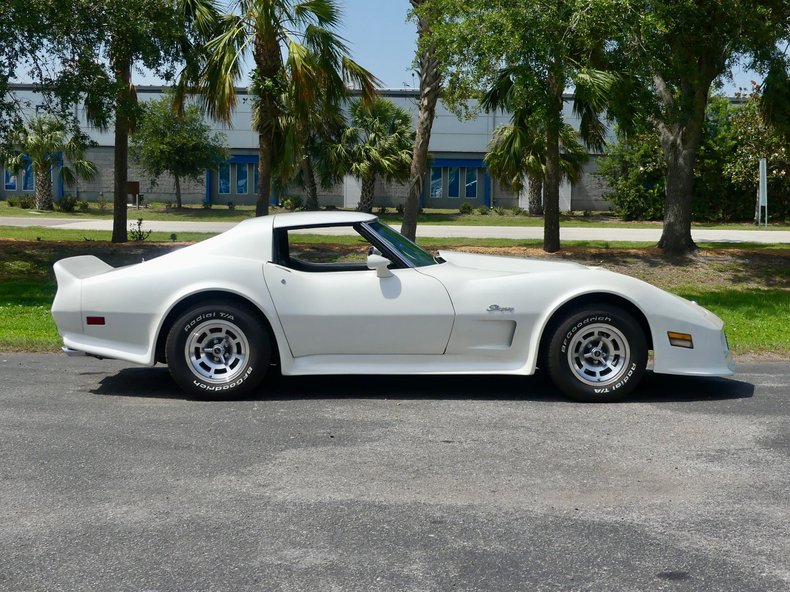 Chevrolet-Corvette-1976-Classic-White-Saddle-Brown-8