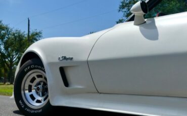 Chevrolet-Corvette-1976-Classic-White-Saddle-Brown-9