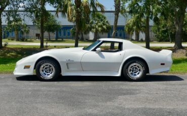Chevrolet-Corvette-1976-Coupe-11