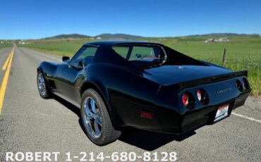 Chevrolet-Corvette-1976-Coupe-12