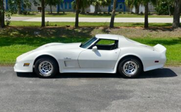 Chevrolet-Corvette-1976-Coupe-12