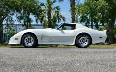 Chevrolet-Corvette-1976-Coupe-13