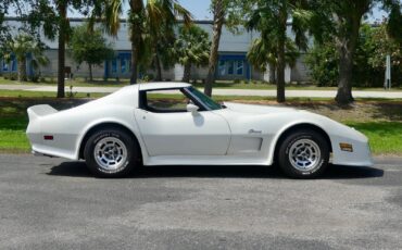 Chevrolet-Corvette-1976-Coupe-2