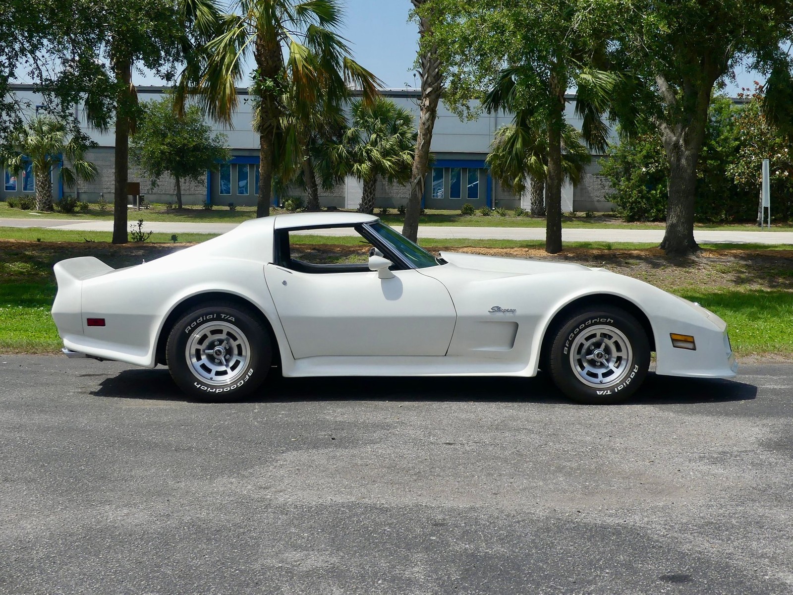 Chevrolet-Corvette-1976-Coupe-2