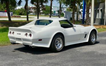 Chevrolet-Corvette-1976-Coupe-20