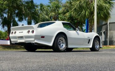 Chevrolet-Corvette-1976-Coupe-22