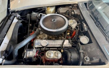 Chevrolet-Corvette-1976-Coupe-4