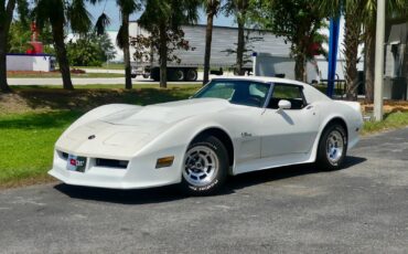 Chevrolet-Corvette-1976-Coupe-8