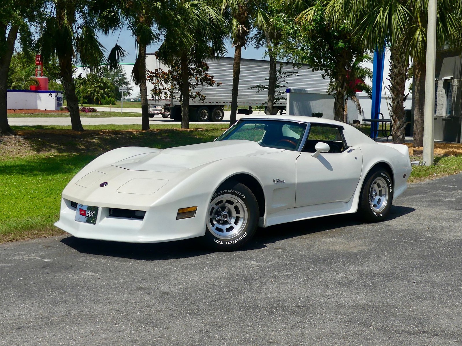 Chevrolet-Corvette-1976-Coupe-8