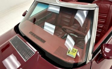 Chevrolet-Corvette-1976-Medium-Claret-Dark-Firethorn-10