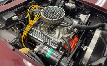 Chevrolet-Corvette-1976-Medium-Claret-Dark-Firethorn-22