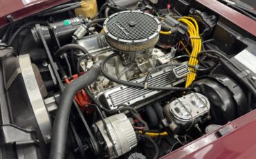 Chevrolet-Corvette-1976-Medium-Claret-Dark-Firethorn-23