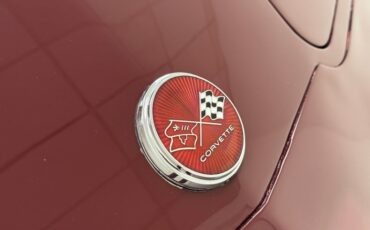 Chevrolet-Corvette-1976-Medium-Claret-Dark-Firethorn-8