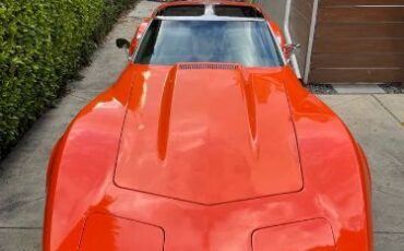 Chevrolet-Corvette-1976-Orange-13