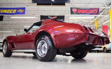 Chevrolet-Corvette-1976-Other-18