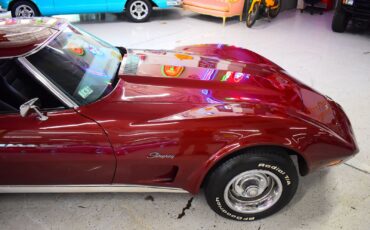 Chevrolet-Corvette-1976-Other-4