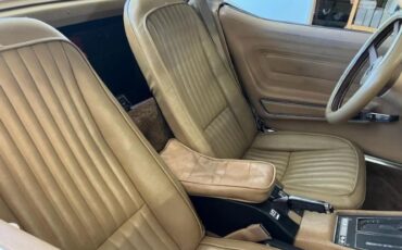 Chevrolet-Corvette-1976-Saddle-Beige-Buckskin-2