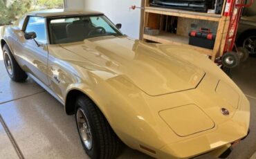 Chevrolet-Corvette-1976-Saddle-Beige-Buckskin