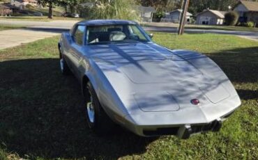Chevrolet-Corvette-1976-Silver-14