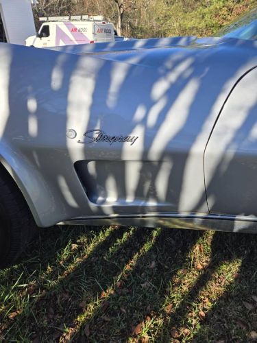Chevrolet-Corvette-1976-Silver-4