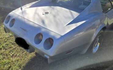 Chevrolet-Corvette-1976-Silver-5