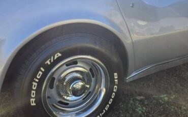 Chevrolet-Corvette-1976-Silver-9