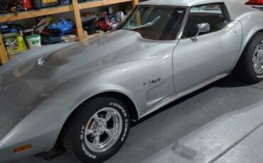 Chevrolet-Corvette-1976-Silver-Red
