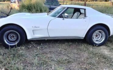 Chevrolet-Corvette-1976-White-2