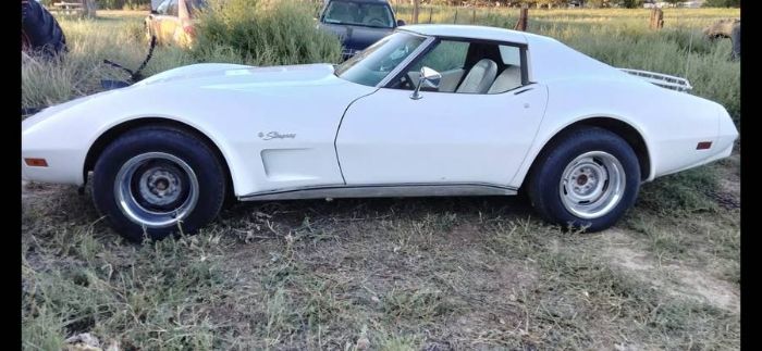 Chevrolet-Corvette-1976-White-2