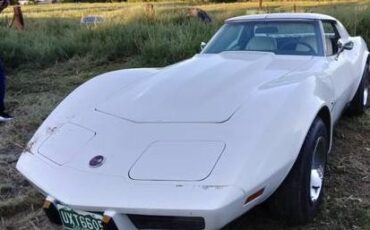 Chevrolet-Corvette-1976-White-9