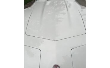 Chevrolet-Corvette-1976-White-Brown-14