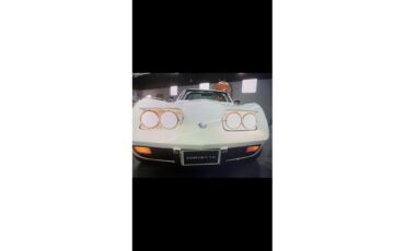 Chevrolet-Corvette-1976-White-Brown-18
