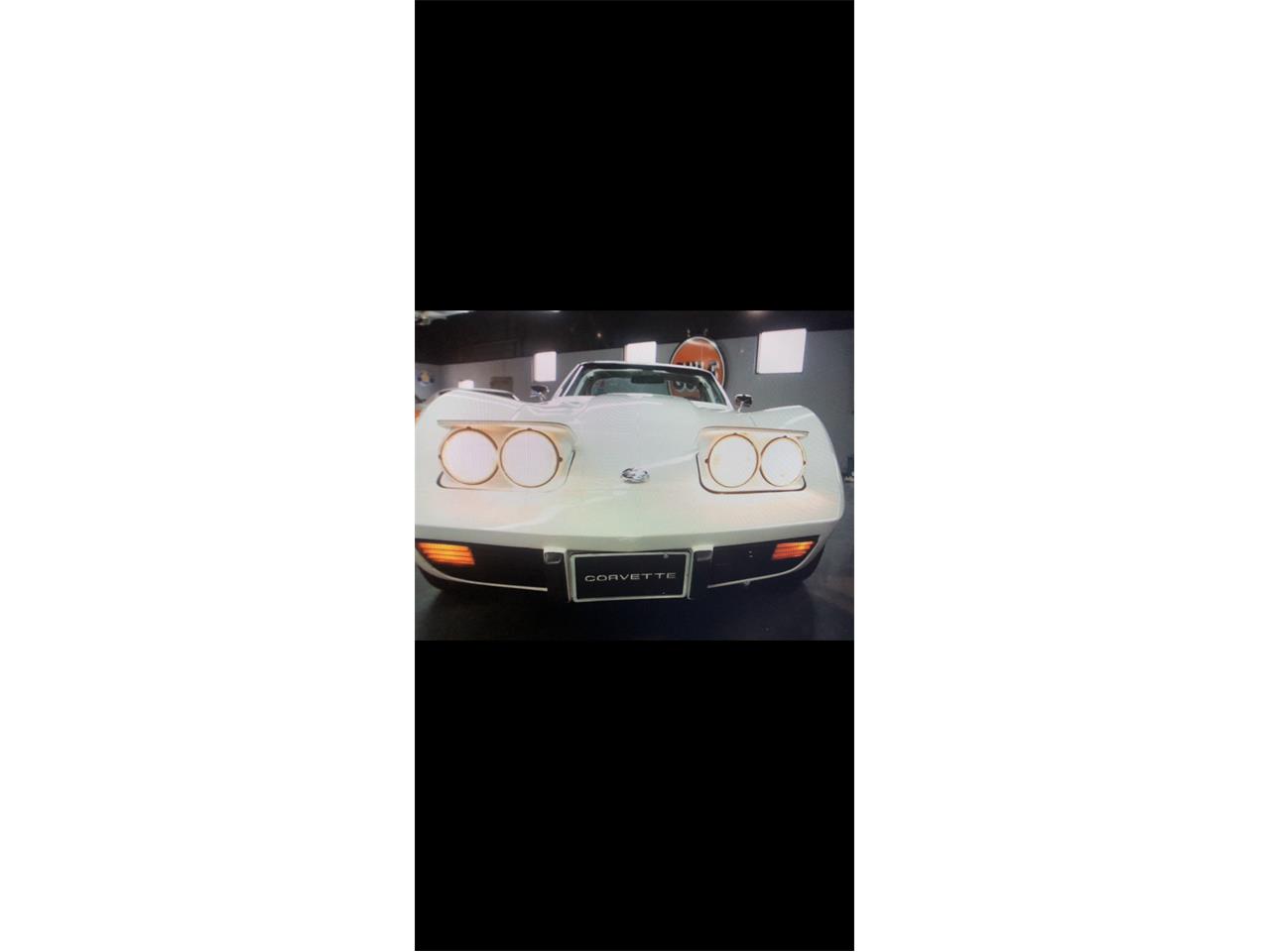 Chevrolet-Corvette-1976-White-Brown-18